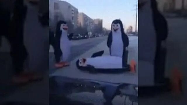 Разбился клип. Упавший Пингвин. Упавшие пингвины. Пингвин падает. Пингвин упал фото.