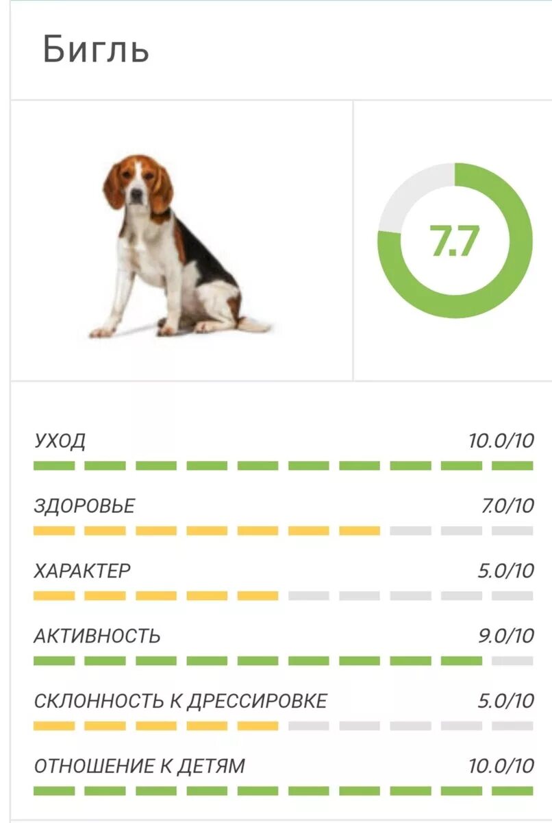 Параметры Бигль собаки породы. Список пород собак по интеллекту. Таблица интеллекта пород собак. Список самых умных пород собак. Рейтинг умных пород