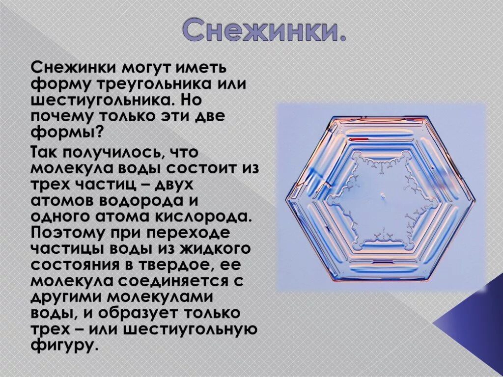 Многоугольники в природе. Правильные меого угольники в природе. Многоугольники в природе презентация. Шестигранник в природе.