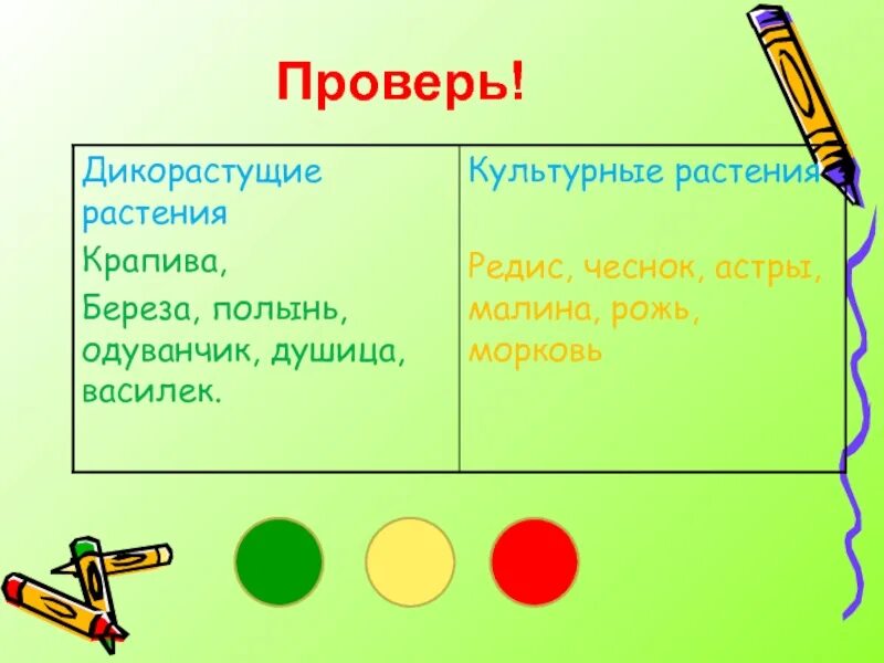 Культурные кустарники и их названия. Береза дикорастущее или культурное. Береза дикорастущее или культурное. Как отличить дикорастущие от культурных растений орешник. Сосна дикорастущее или культурное растение.
