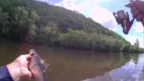 Ловить в мутной воде