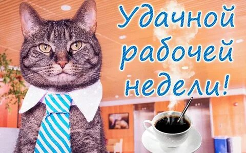 Рабочего дня картинки прикольные смешные