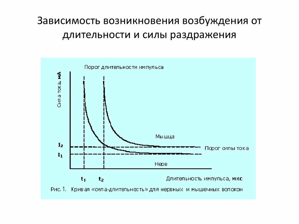 Закон силы раздражения возбудимых тканей. Пороговые подпороговые раздражители примеры. Величина порога раздражения нерва. Реобаза. Параметры возбудимости ткани (понятие).