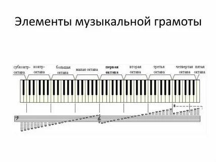 Ноты с названиями для начинающих пианино