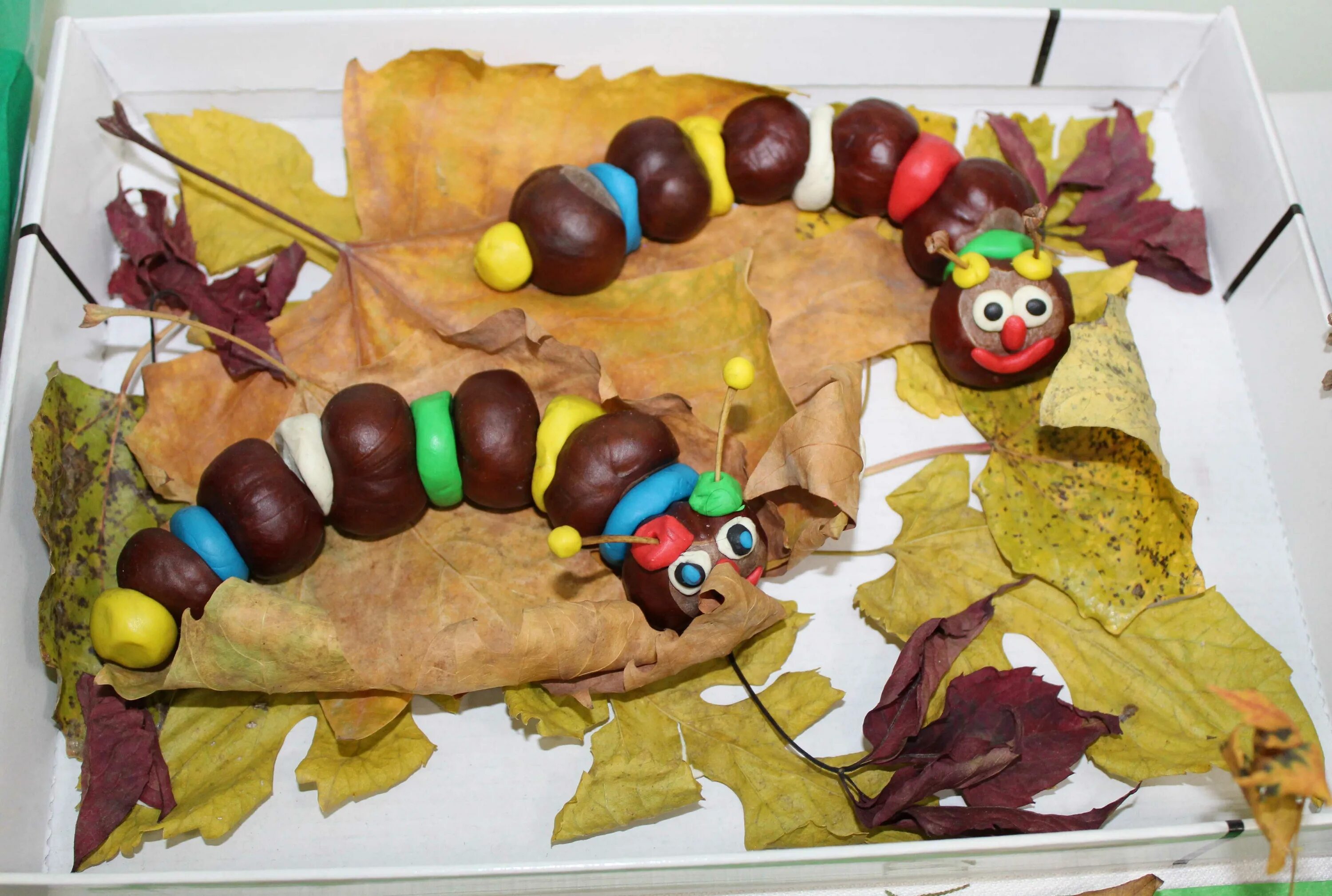 поделки из природного материала в средней группе. природный материал в старшей группе. природный материал для конструирования. дети конструируют из природного материала. конструирование из природного материала в детском саду.