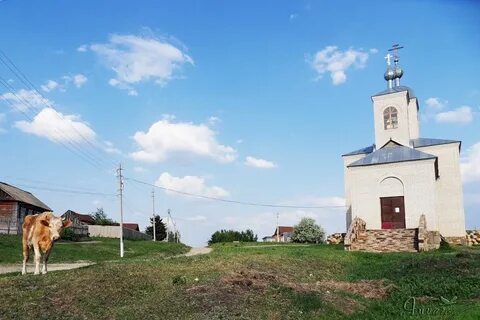 Хватовка саратовская область