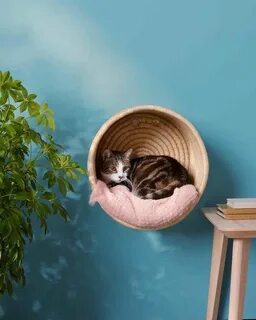 Картинка кот дом
