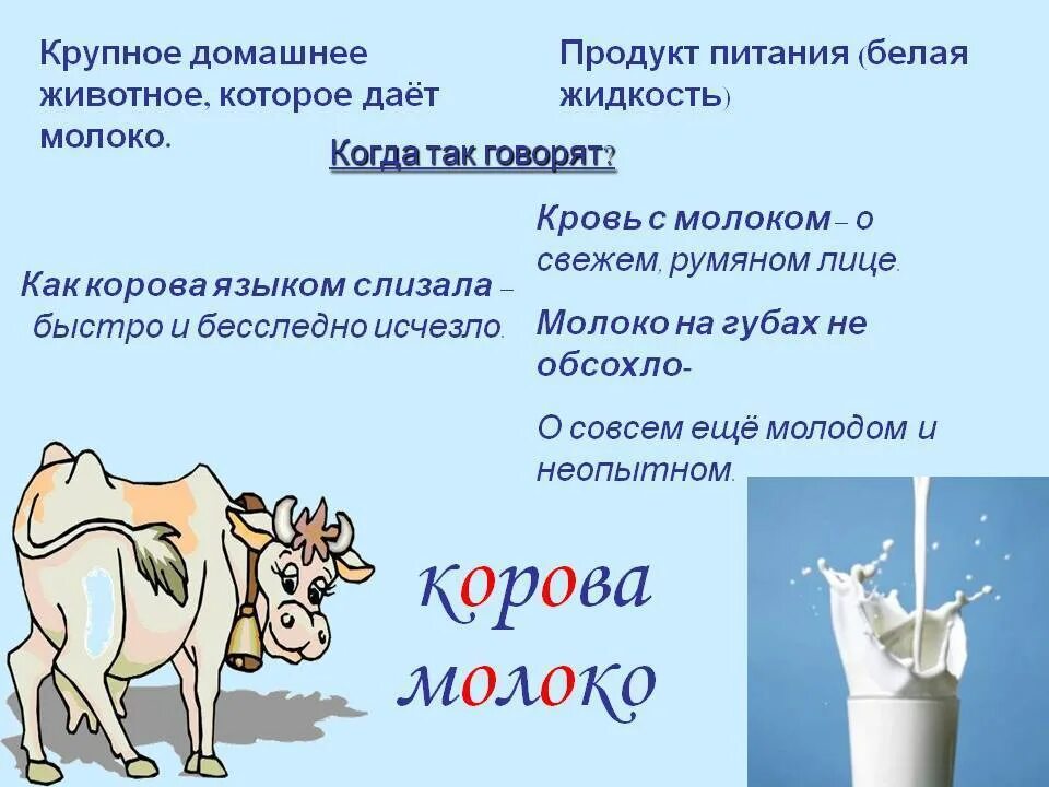 Можно ли давать ребенку коровье молоко. Корова молоко. Информация о молоке. Интересные факты о молоке. Корова дает молоко.