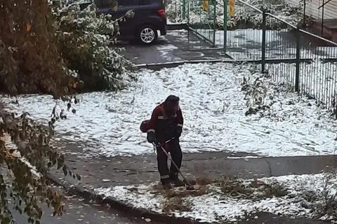 Тоже выпасть