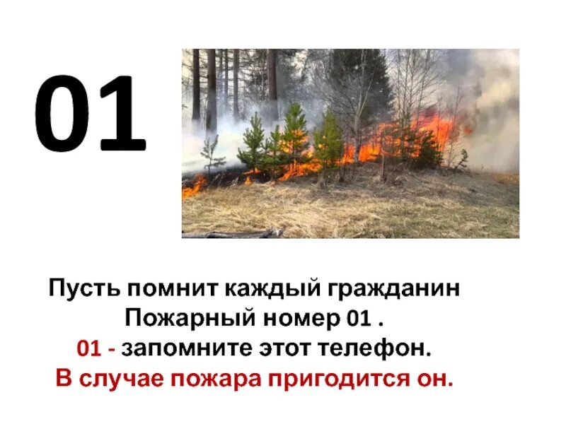 1 запомнив номер телефона. Пусть знает каждый гражданин пожарный. Помни каждый гражданин этот номер 01. Пусть знает каждый гражданин пожарный номер 01. Знать должен каждый гражданин пожарный номер 01.