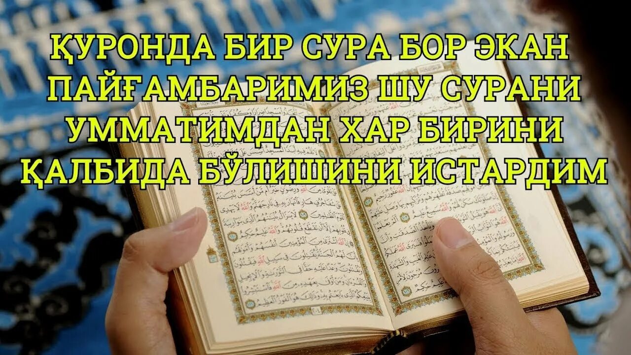 Сура прибытие в пензу