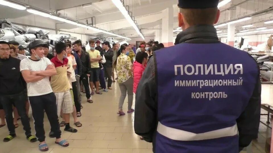 Служба контроля миграции