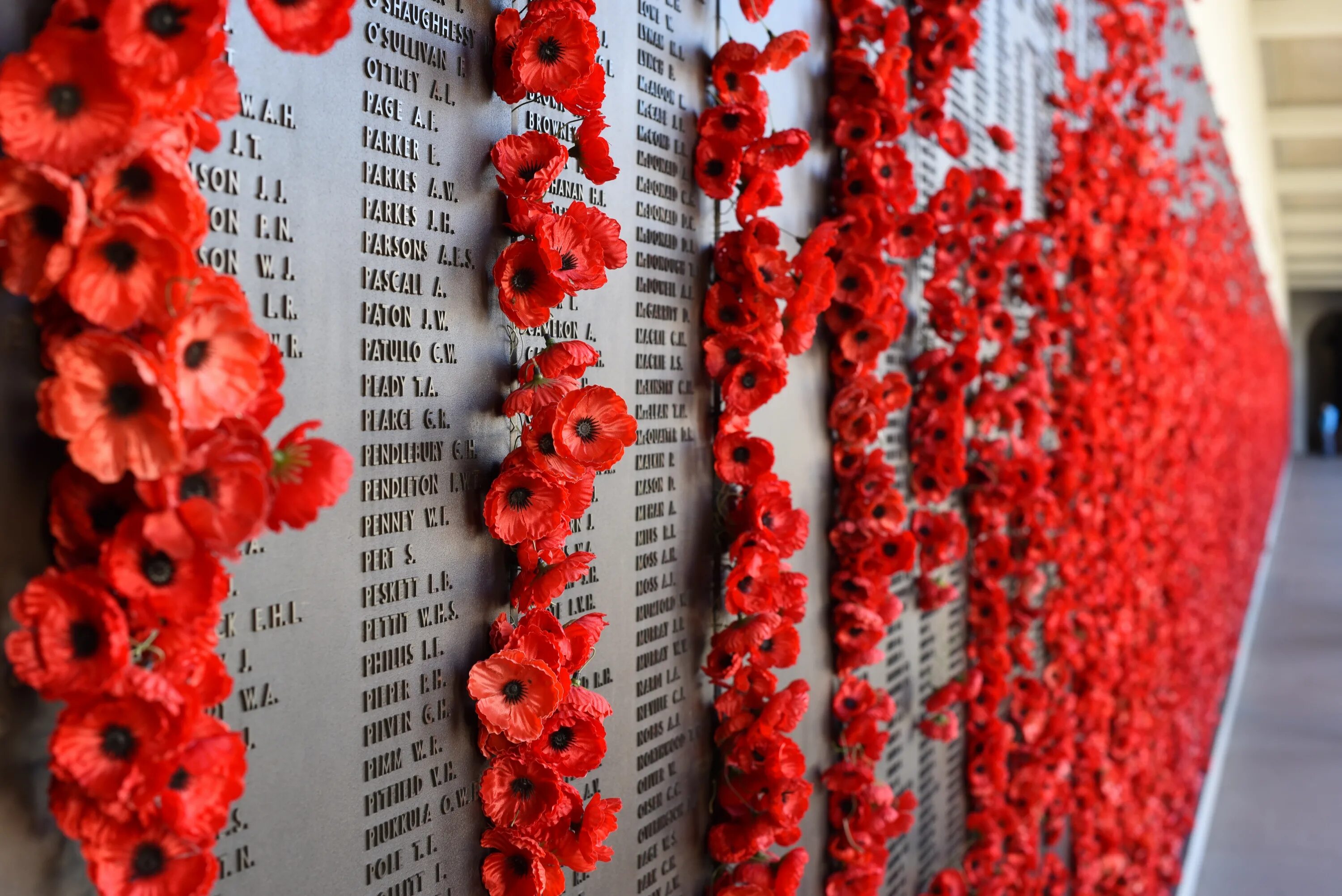 Remembrance Day маки. Праздники Великобритании Remembrance Day. Красный Мак символ памяти в Великобритании. Праздник маков в Англии. Символ памяти погибших