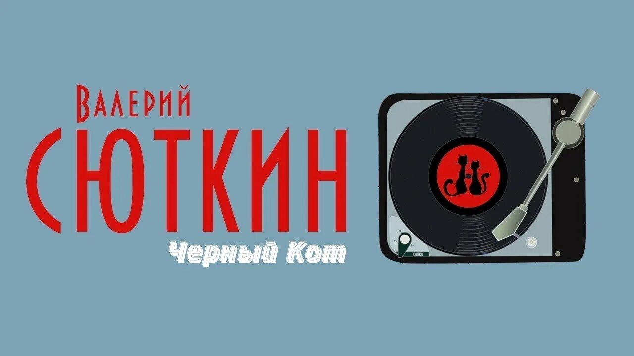 Сюткин черный кот. Сюткин песни черный кот. Черный кот песня mp3