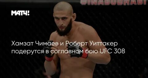 Ufc 308 прямая трансляция чимаев