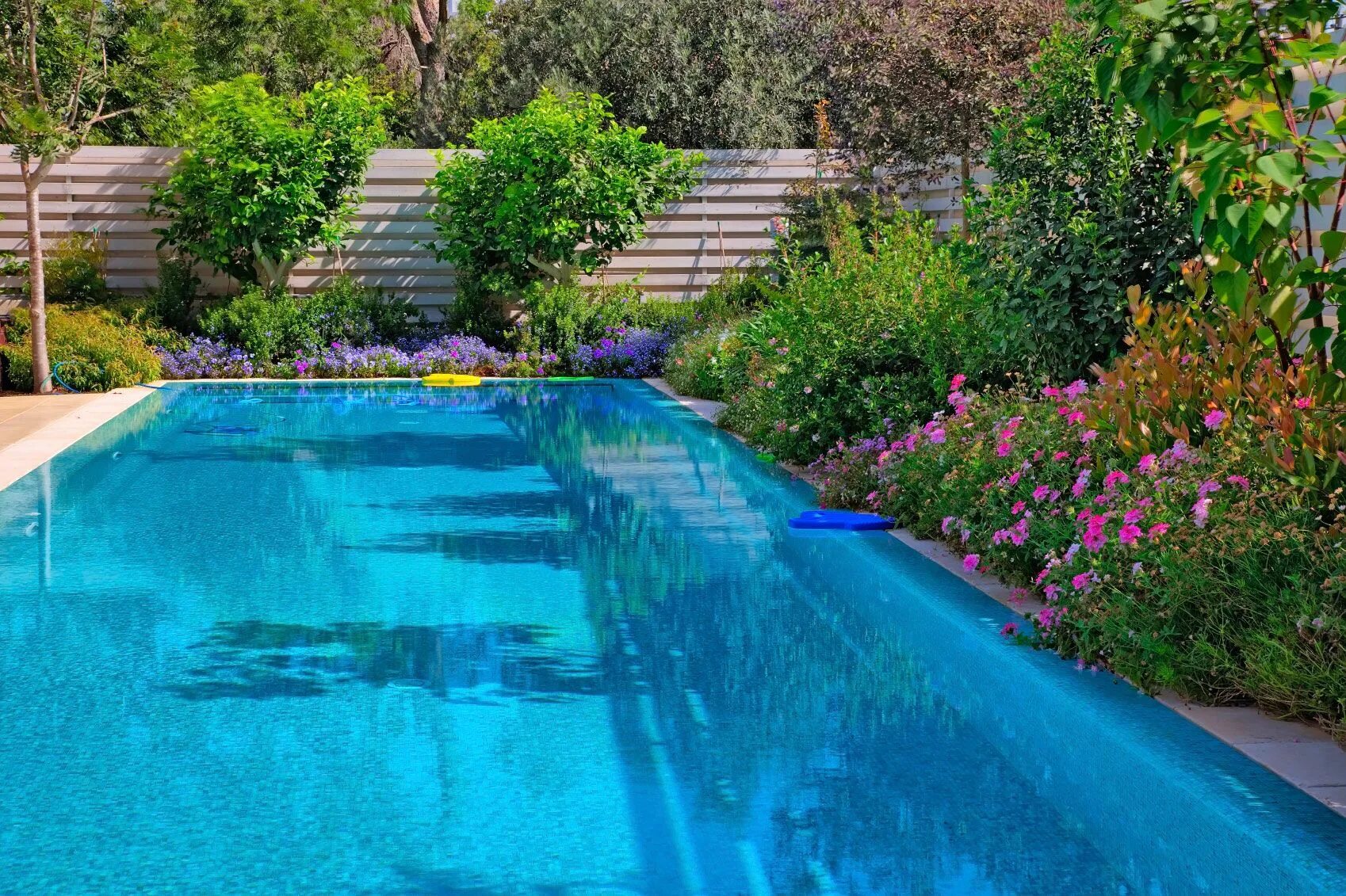 Lisas pool