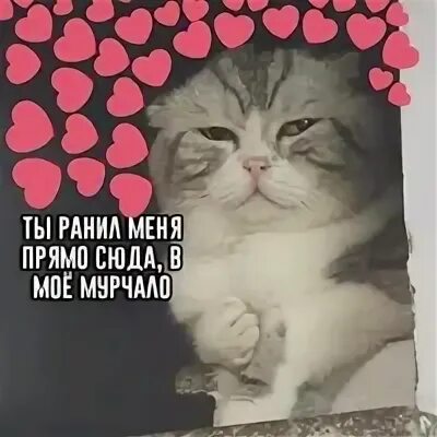 Ты сердце ранимое