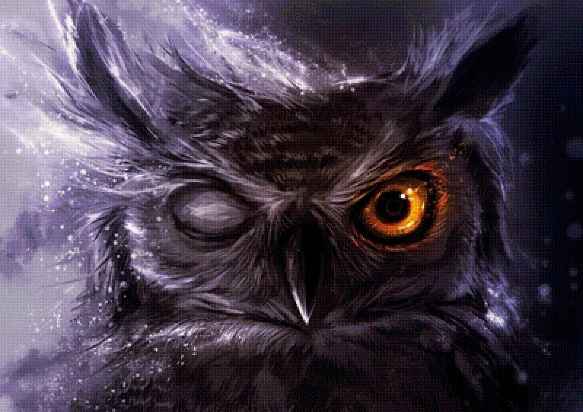 Сова арт. Сова арт. Сова арт. Куруш макс фрай буривух. Сова сипуха арт.