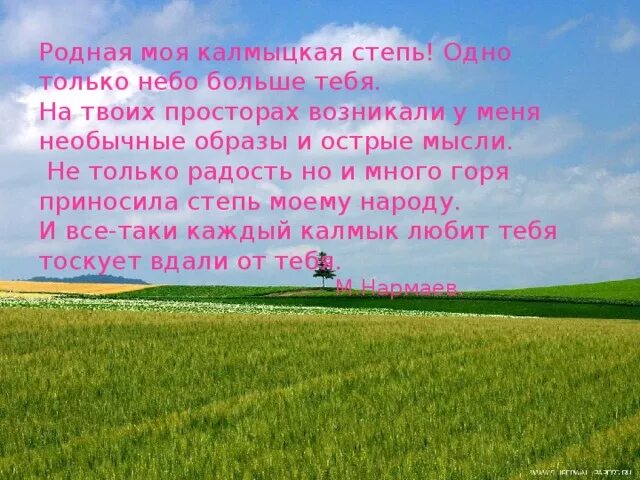 Моя родная степь. Стихи про степь для детей. стихи о калмыкии. стихи на калмыцком языке. про степь на калмыцком языке.