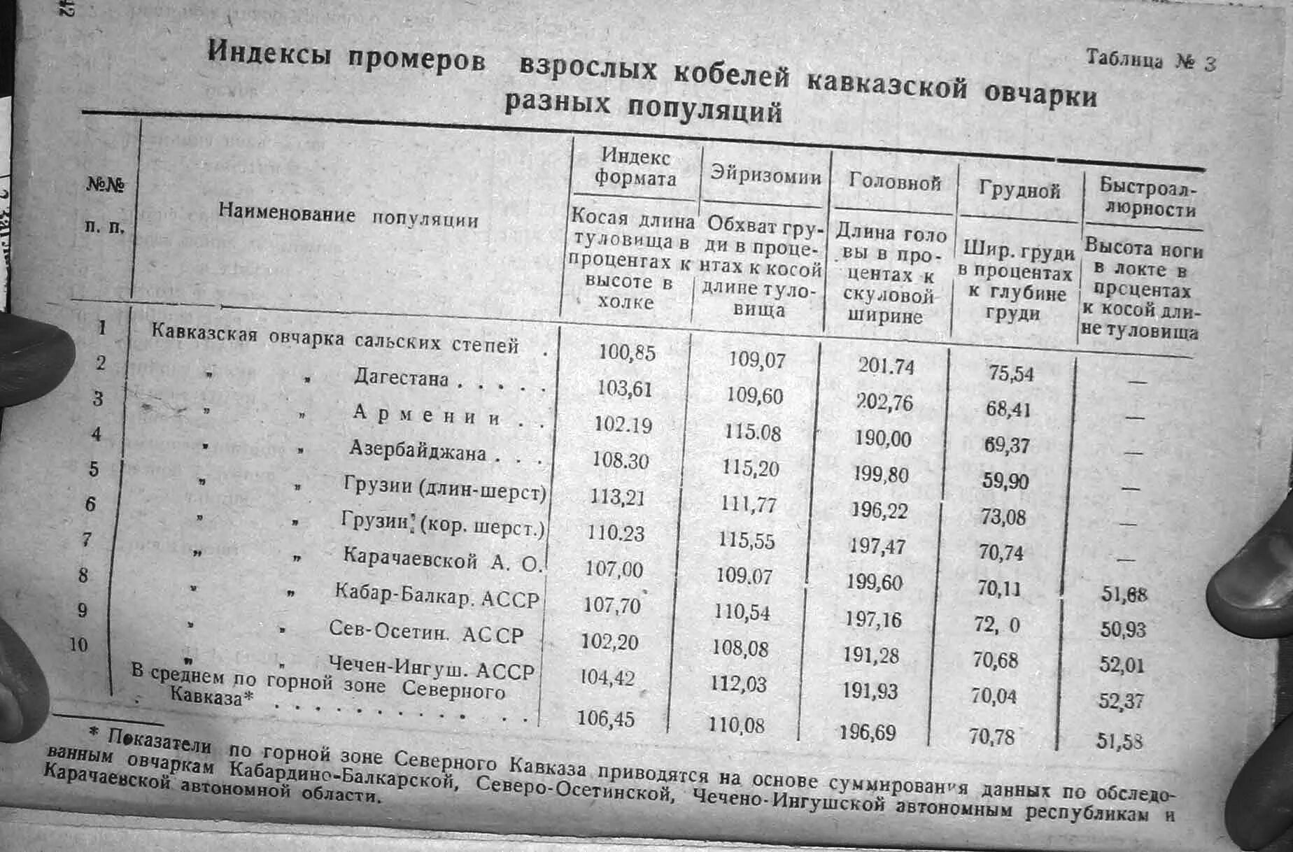 Вес щенка кавказской овчарки в 4 месяца. Сколько весит щенок кавказской овчарки в 2 месяца. Вес щенка кавказской овчарки в 2 месяца. Вес щенка кавказской овчарки в 3 месяца таблица. Сколько весит овчарка в год