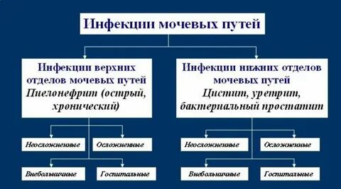Симптомы инфекции мочеполовой системы