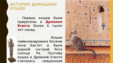 Изложение кошка была приручена в древнем египте