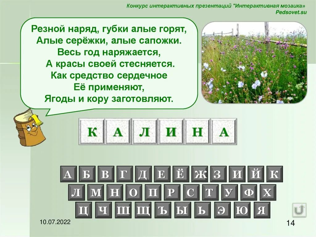Детские сканворды. Защита 13 букв. Защита 13 букв. Квадрат из обитателей морей и рек. Буквы в квадратах.