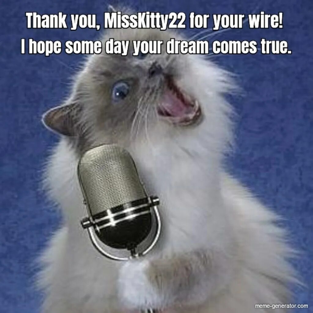 Кот поет в микрофон. Котик с микрофоном. Кот поет. Микро кот. Котик поет в микрофон.