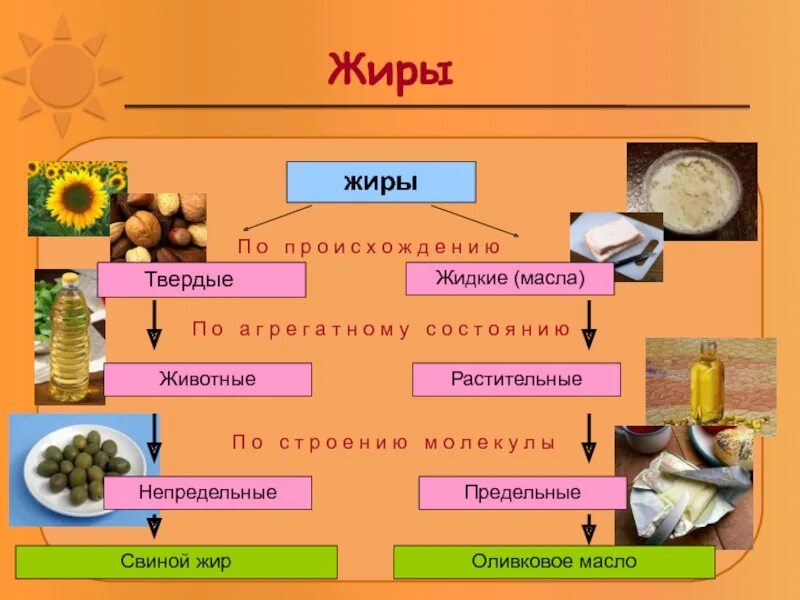 Классификация жиров по происхождению и по агрегатному состоянию. Жиры растительного происхождения. Жиры классификация строение. Растительные и животные жиры.