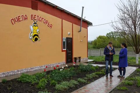Белгородская пчела