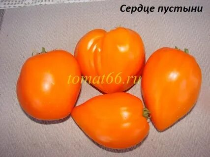 Томат сердце пустыни характеристика и отзывы отзывы