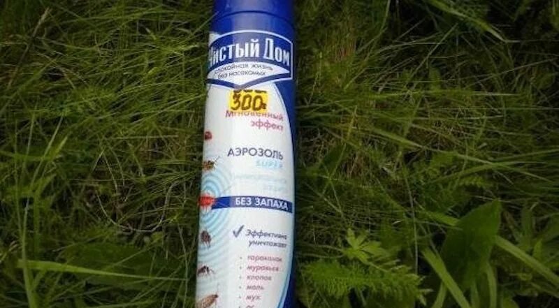 Чистый дом от ос