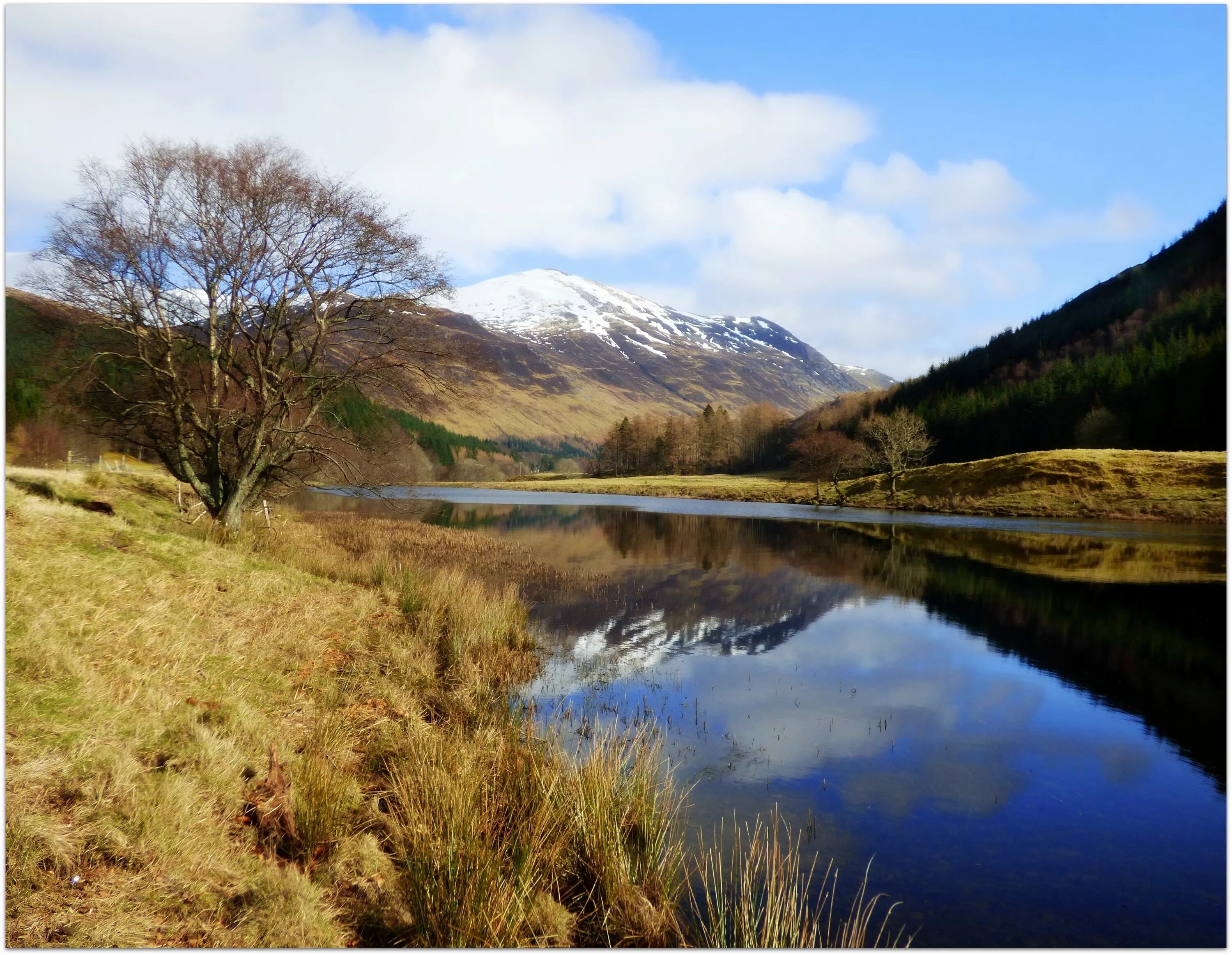 Scotland nature reserves. Речка под холмом. Летний пейзаж с озером и горами Шотландии. Монтрой Лион река. Скандинавские водоемы 6 букв.