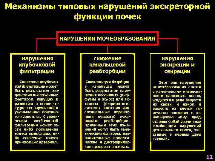 Механизмы нарушения функций почек схема. Расстройства экскреторной функции почек. Механизмы нарушения почечной фильтрации. Основные механизмы нарушений экскреторной функции почек. Незначительные нарушения функций