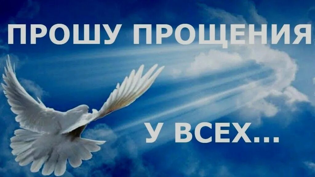 прощение у брата. цитаты из библии о прощении. стихи любимой девушке прости меня пожалуйста. стихотворение прости. прости братишка.