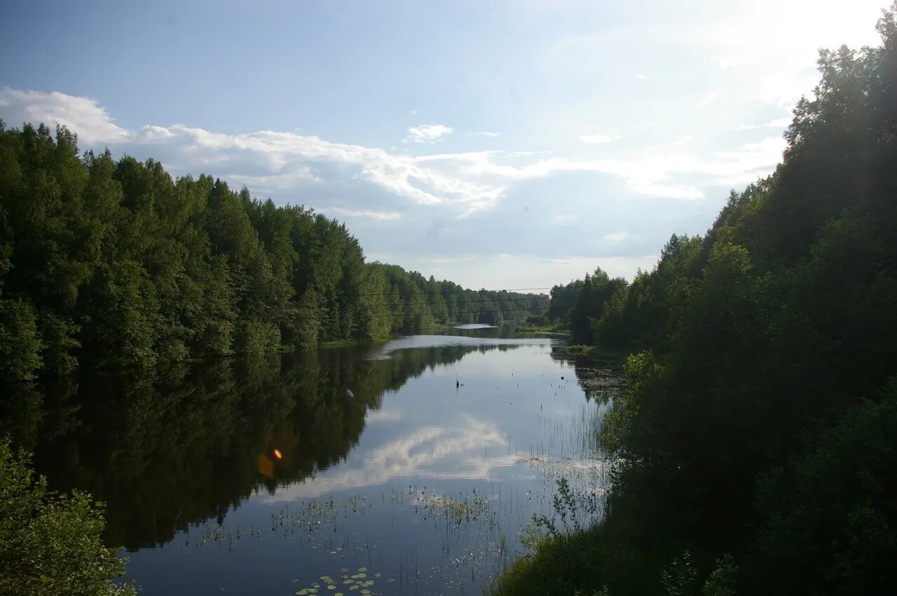 Река грузинка. Станция Васкелово река грузинка. Васкелово озера. Озеро Гупуярви. Река грузинка Ленинградская область.