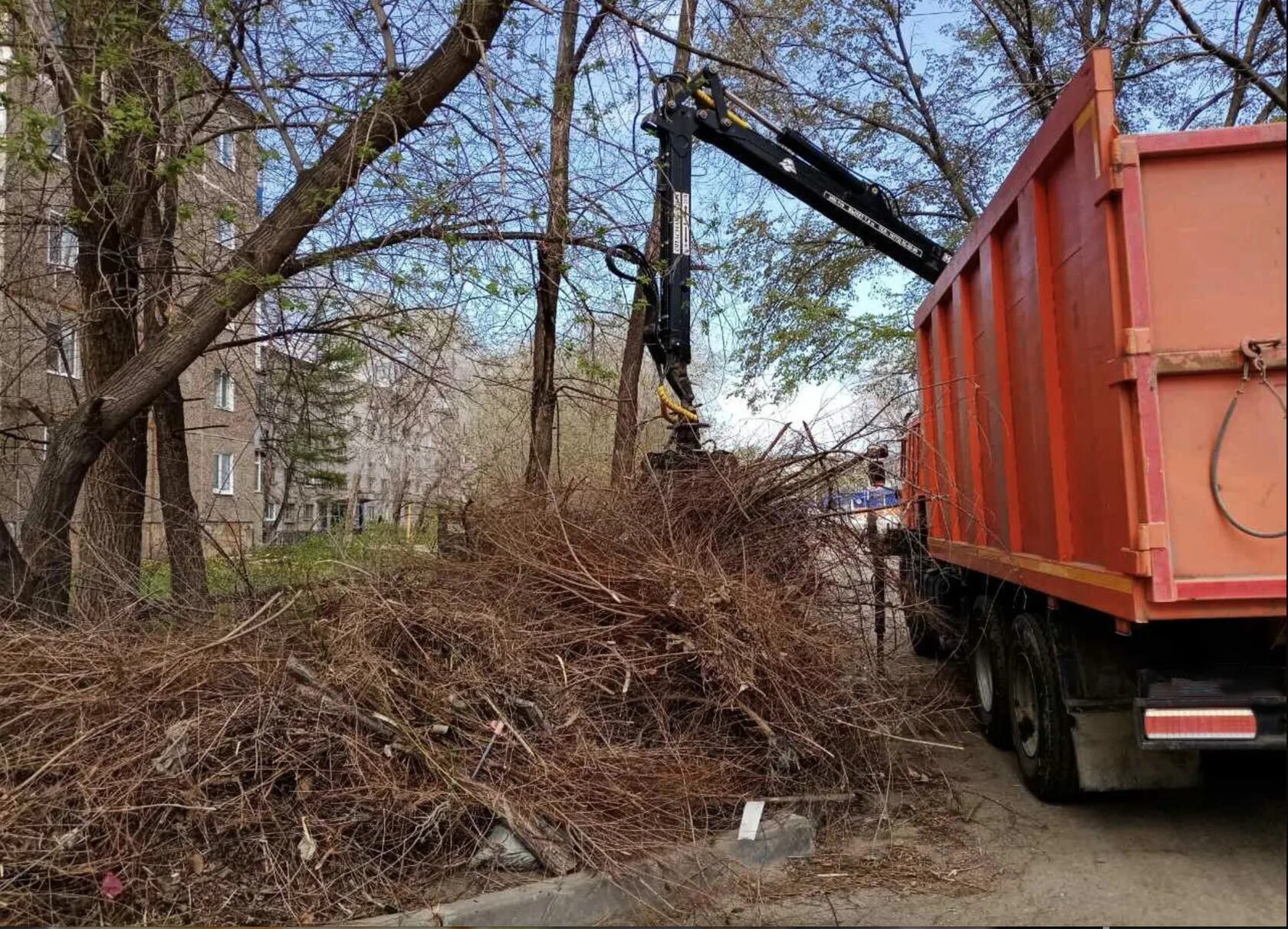 Вывоз веток деревьев. Вывоз веток. вывоз деревьев. вывоз спиленных деревьев. вывоз порубочных остатков.