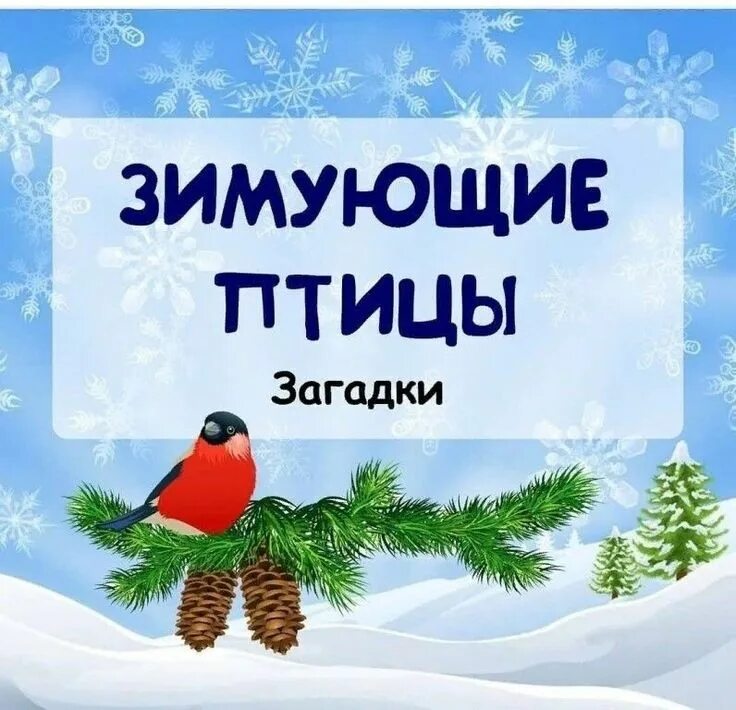 Загадки про зимующих птиц для дошкольников. Загадки про зимующих. Загадки про зимующих. Загадки про зимующих птиц для дошкольников. Загадки про зимующих.