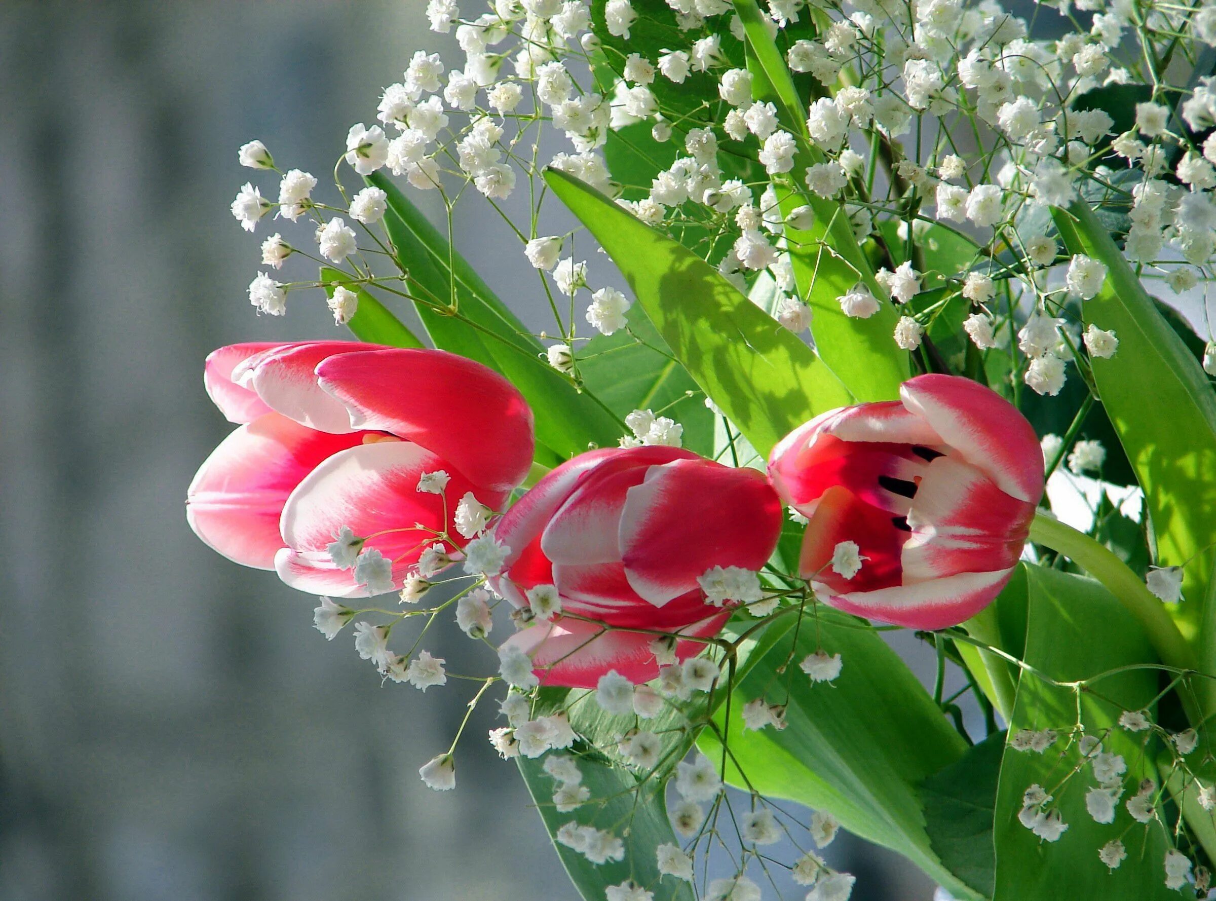 Майский день весны. Ландыши Ландыши тюльпаны Ландыши. Весенний букет. Красивый букет весенних цветов. Весенние открытки.