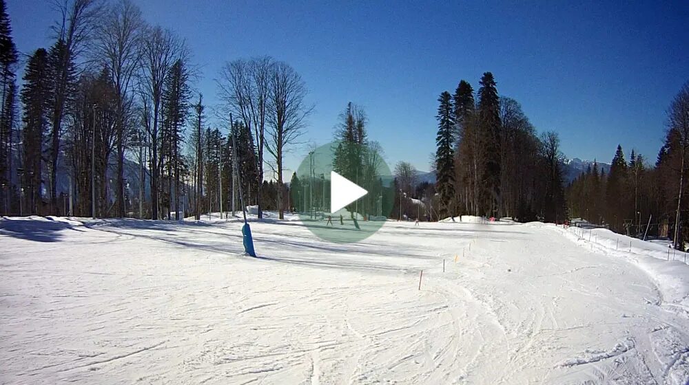 онлайн камера пляж дельфин ялта веб. веб камеры в горном воздухе. веб камеры в горном воздухе. веб камеры в горном воздухе. набережная горный воздух лоо.