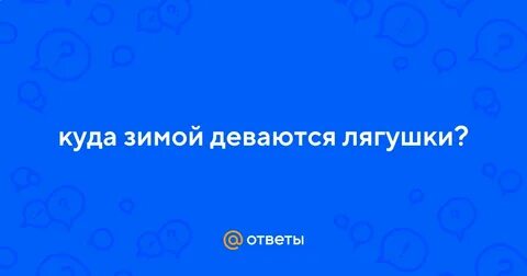 Куда зимой деваются