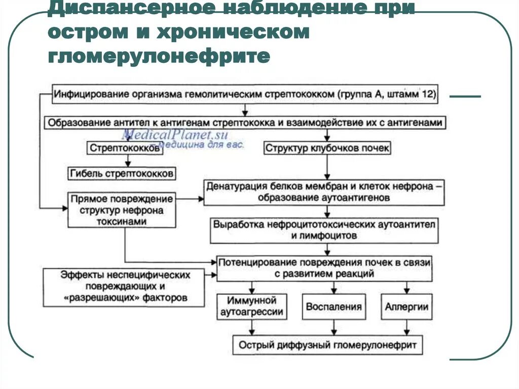 Острый пиелонефрит диспансерное. Патогенез гломерулонефрита хронический гломерулонефрит. Патогенез хронического гломерулонефрита. Схема лечения хронического гломерулонефрита. Патогенез хронического гломерулонефрита схема.