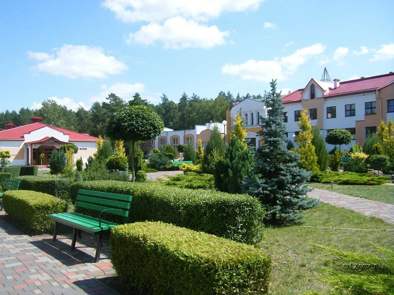 Санаторий белая Вежа Брестская. Вежа Белоруссия санаторий. Белая Вежа фото санаторий. Санатории Брестской области. Бел брест