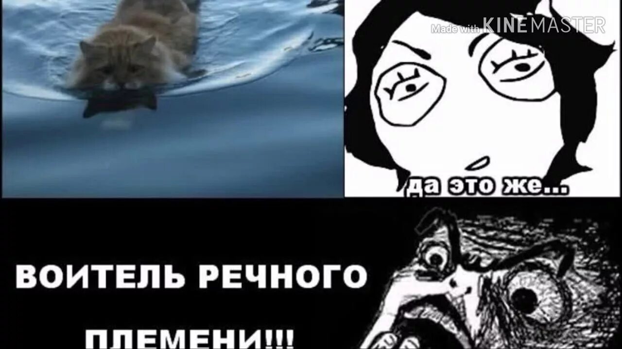 Мемасик вам в ленту) в 2023 г Иллюстрации кошек, Кошки воины, Кот-воитель