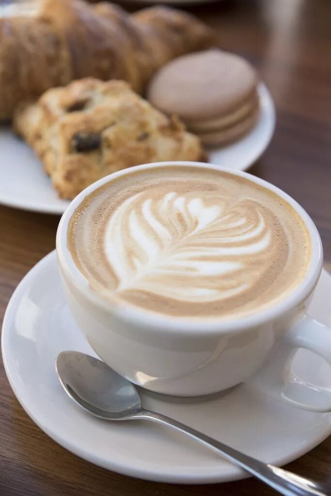 Латте утром. Роза кофе латте. Латте утром. Кофе изображение. Что такое латте милк.