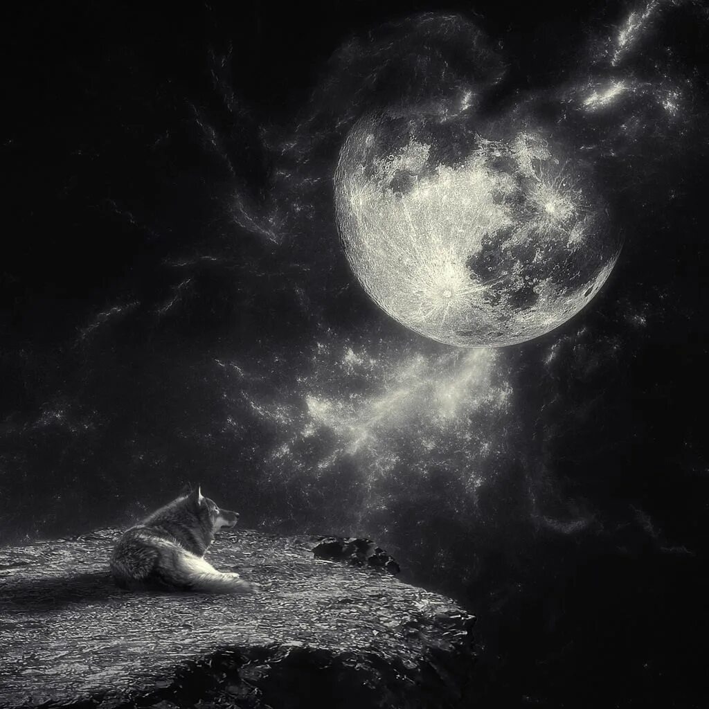 Картина темная луна. Луна Эстетика. Серая Луна. Лунная Эстетика. Космос тьма.