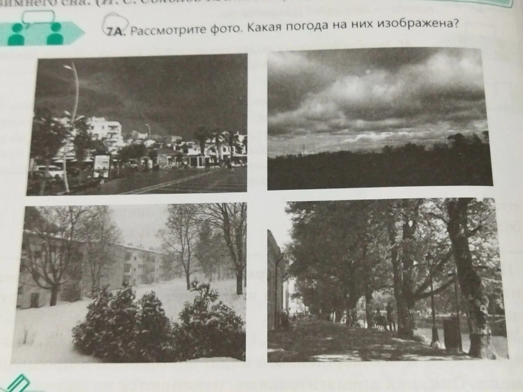 Рассмотрите фотографию 1