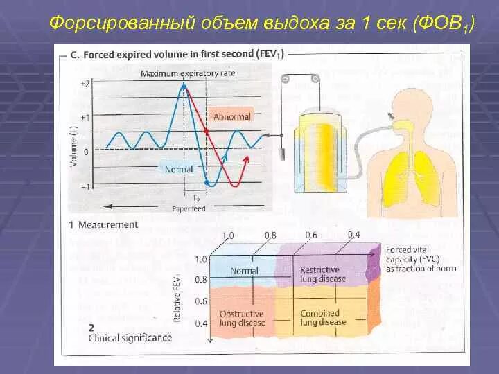 Величина дыхательного объема. Объем форсированного выдоха. Форсированный объем выдоха норма. Резервный объем вдоха и выдоха. Резервный объем легких.