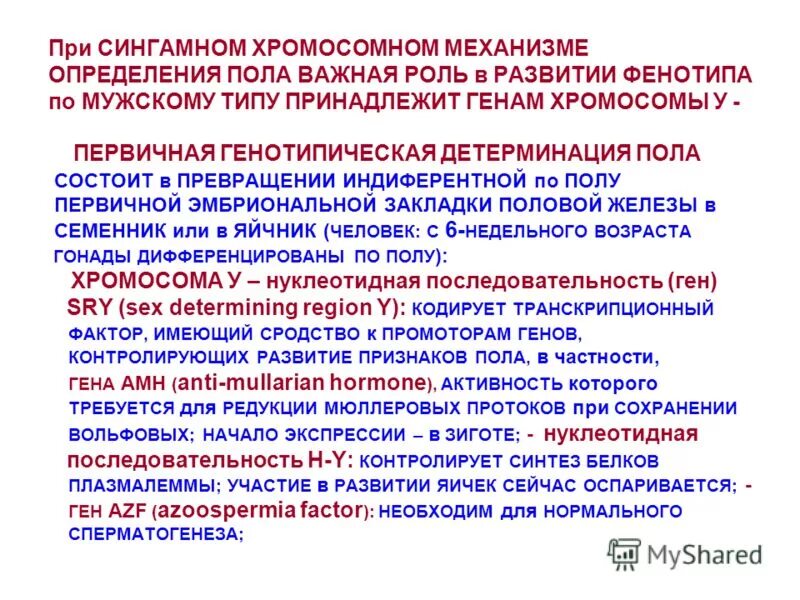 Типы определения пола прогамное эпигамное. Сингамный тип определения. Механизмы наследования пола прогамное эпигамное сингамное. Хромосомный организм определения пола. Сингамный тип определения.