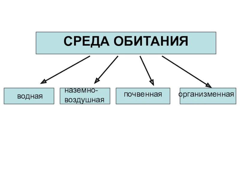 Среда обитания. Схема среды обитания. Влажность в средах обитания. Среда обитание надпись.